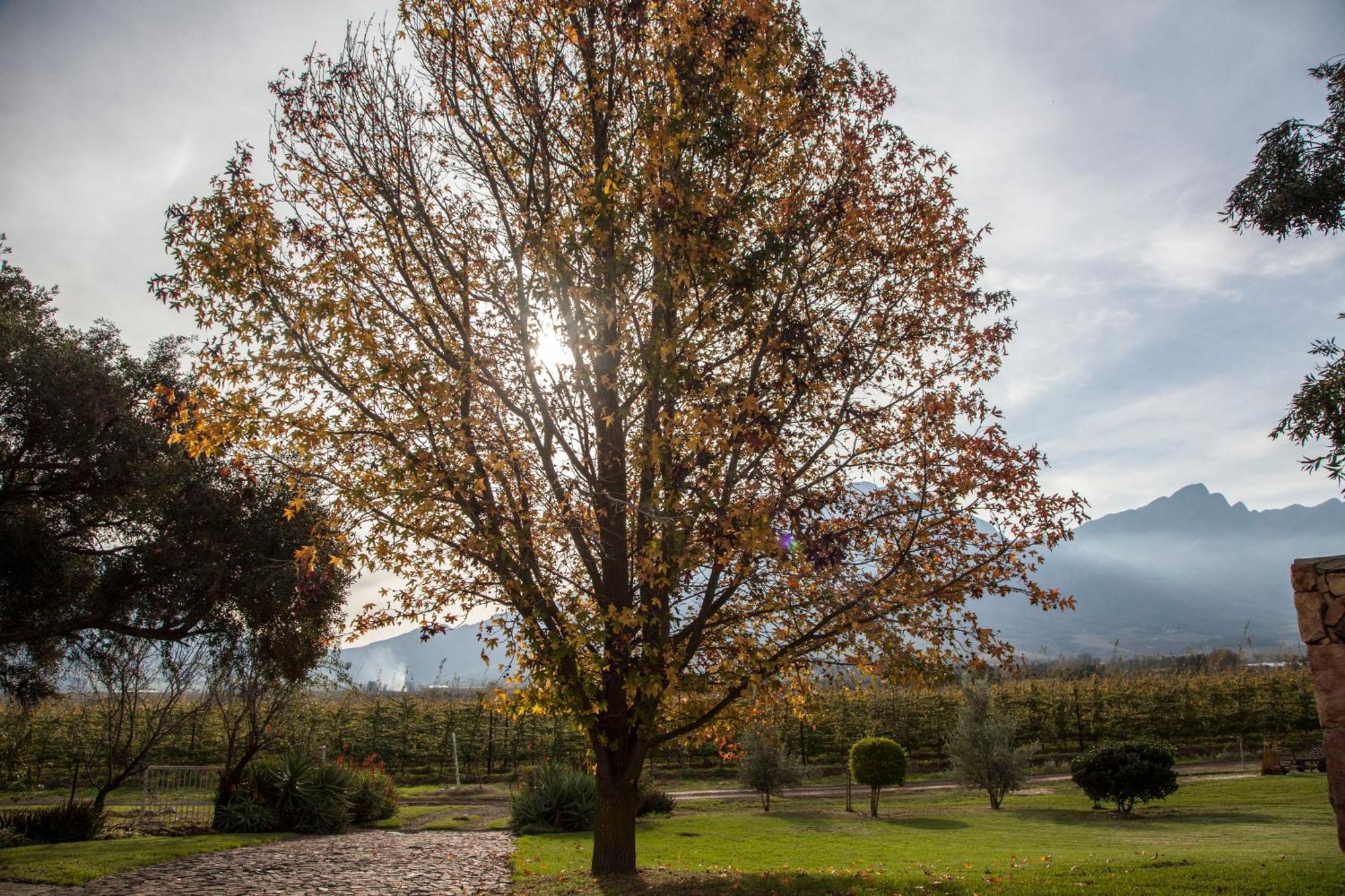 Bergsicht Country Farm Cottages ทุลบักห์ ห้อง รูปภาพ