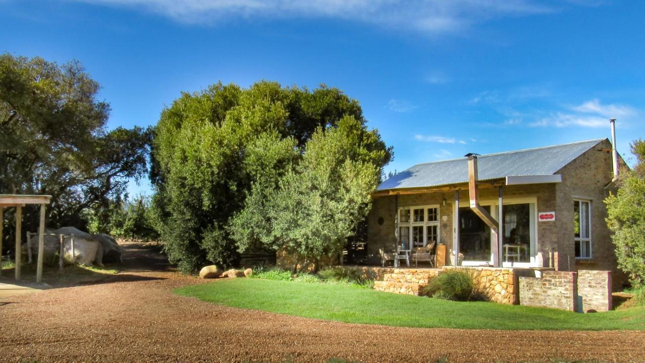Bergsicht Country Farm Cottages ทุลบักห์ ภายนอก รูปภาพ